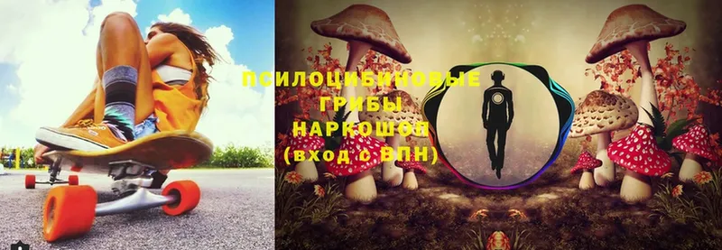 Галлюциногенные грибы Psilocybine cubensis  Чишмы 